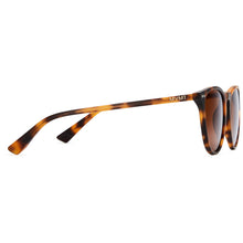Ingram Polarized