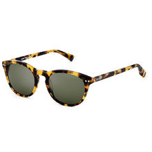 Rio Polarized