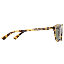 Rio Polarized